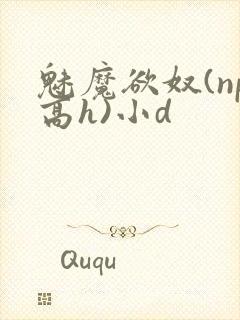 魅魔欲奴(np高h)小d