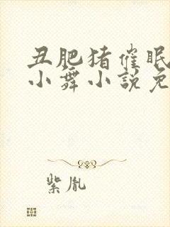 丑肥猪催眠神界小舞小说免费阅读封面