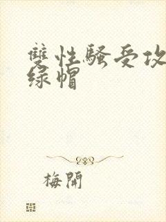 双性骚受攻出轨绿帽