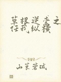 草根逆袭之都市任我纵横