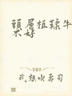 头层植鞣牛皮好不好封面