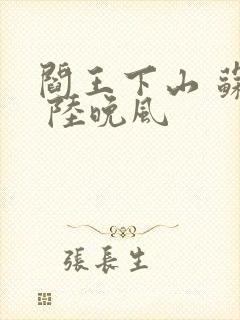 阎王下山 苏文 陆晚风封面