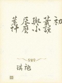 叶辰与萧初然是什么小说