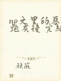 np文里的恶毒炮灰后 完结 番外