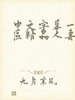 中文字幕一区二区精品人妻封面