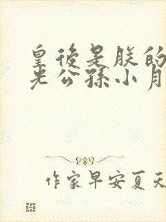 皇后是朕的黑月光公孙小月