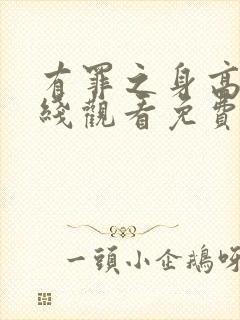 有罪之身高清在线观看免费封面