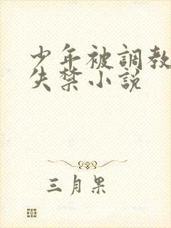 少年被调教爽到失禁小说