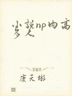 小说np肉高h多人