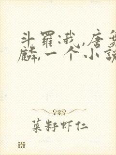 斗罗:我,唐舞麟,一个小说家