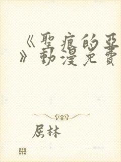 《圣痕的亚莉亚》动漫免费播放全集封面