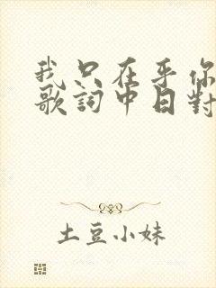 我只在乎你日语歌词中日对照