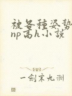 被各种姿势玩弄np高h小说封面