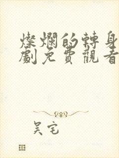 灿烂的转身电视剧免费观看高清