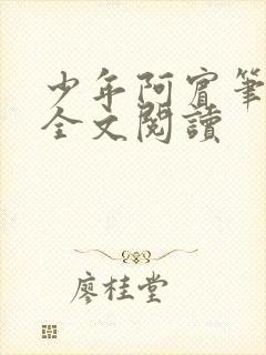 少年阿宾笔趣阁全文阅读