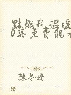 点燃我温暖你40集免费观看