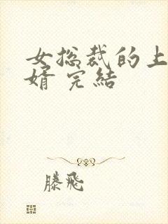 女总裁的上门女婿 完结