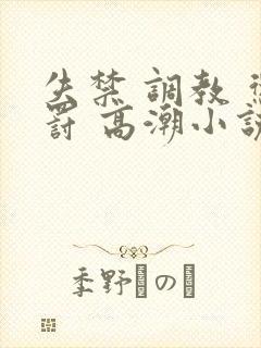 失禁 调教 惩罚 高潮小说封面