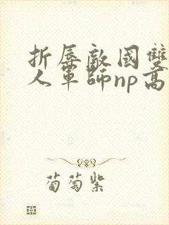 折辱敌国双性美人军师np高h封面