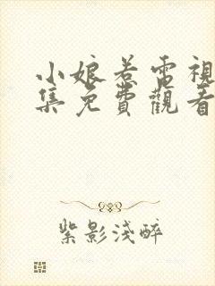 小娘惹电视剧全集免费观看完整版