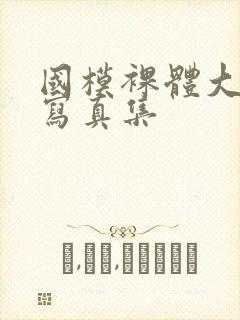 国模裸体大尺度写真集