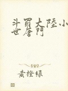 斗罗大陆小说绝世唐门