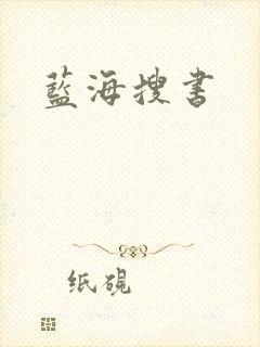 蓝海搜书封面