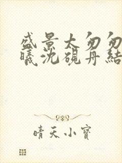 盛景太匆匆宁若曦沈砚舟结局