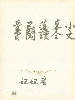 爱已落幕小说免费阅读全文