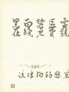 黑白禁区电视剧在线免费观看全集