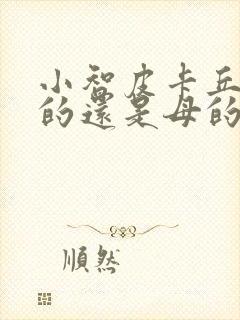 小智皮卡丘是公的还是母的