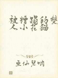 被糟蹋的双性美人小花猫