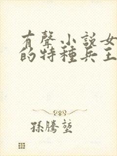 有声小说女总裁的特种兵王