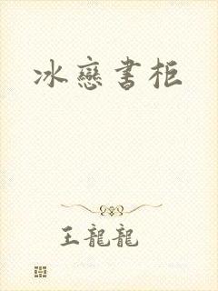 冰恋书柜封面