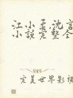 江小柔,沈言城小说完整全文免费阅读