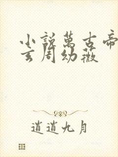 小说万古帝婿夜玄周幼薇