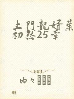 上门龙婿叶辰萧初然25章