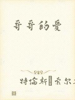 哥哥的爱