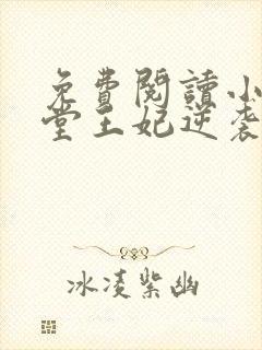 免费阅读小说下堂王妃逆袭记