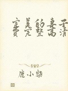 完美的妻子7免费完整高清电视剧看中