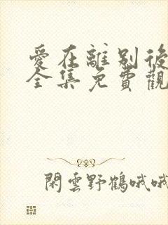 爱在离别后短剧全集免费观看高清