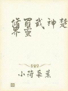 修罗武神楚枫的界灵封面