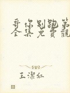 哥你别跑第二季全集免费观看