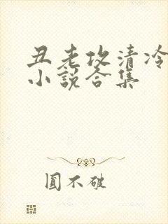 丑老攻清冷美人小说合集封面