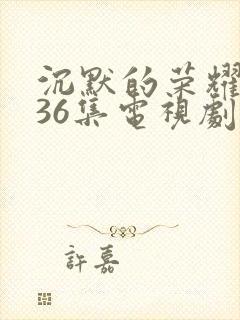 沉默的荣耀1—36集电视剧在线观看