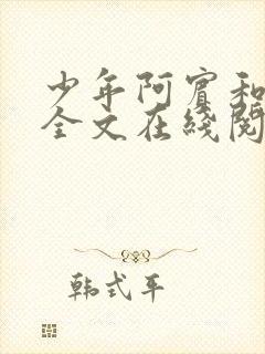 少年阿宾和房东全文在线阅读