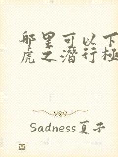 哪里可以下载飞虎之潜行极战封面