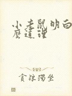 小老鼠明白了什么道理