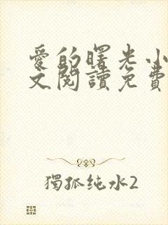 爱的曙光小说全文阅读免费无弹窗