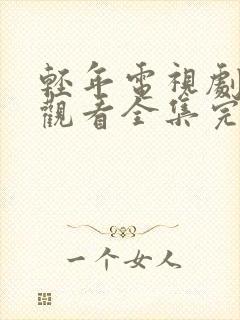 轻年电视剧免费观看全集完整版封面